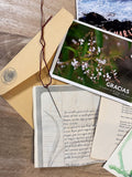 Pack 3 cartas El Árbol 
