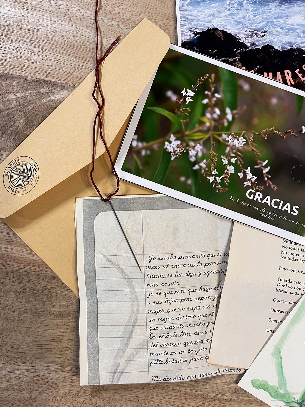 Pack 3 cartas El Árbol 